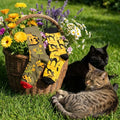 Two cats lying on grass next to a basket of flowers and patterned socks.