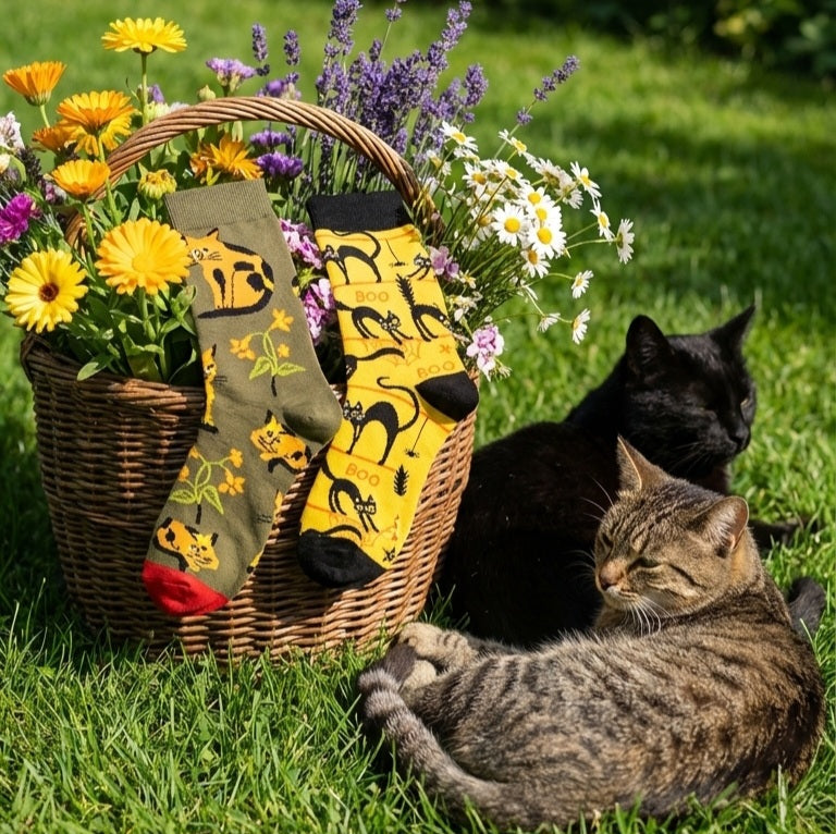 Two cats lying on grass next to a basket of flowers and patterned socks.